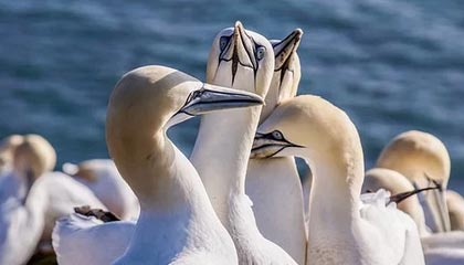 乐鱼体育-WTT常规挑战赛：林诗栋1-3不敌达科，止步男单8强