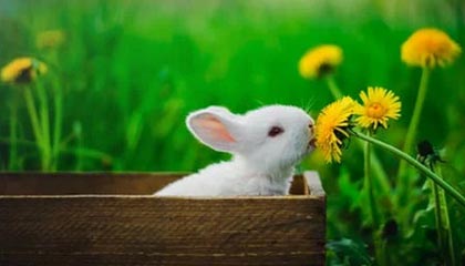 乐鱼app-2026“苏超”冠名商为江苏银行和苏豪控股集团